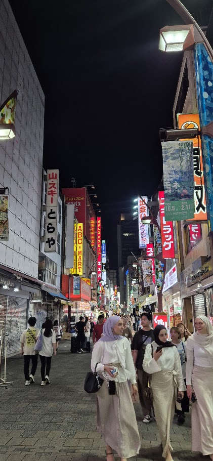 Noche en Akihabara