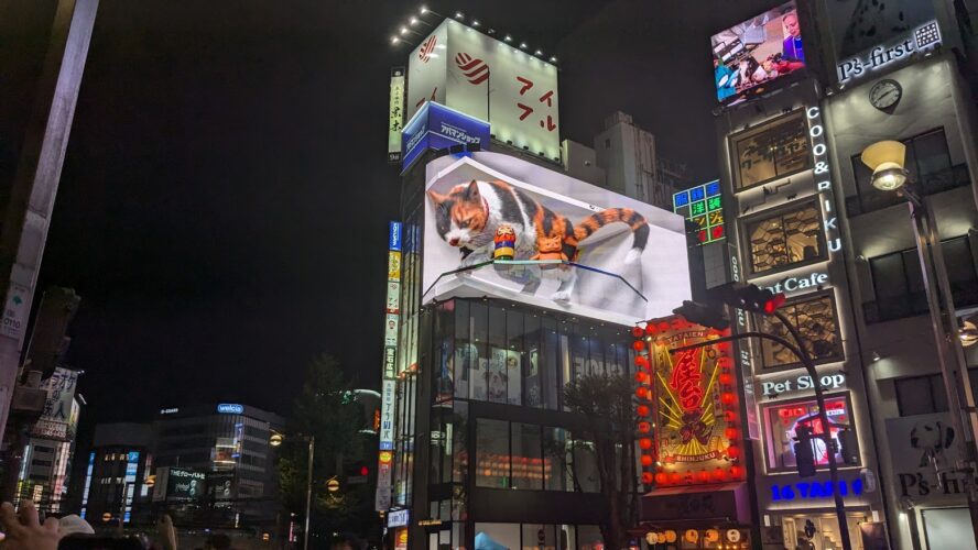 Día 2 en Tokio: entre moda extravagante, shiba inu y templos sagrados